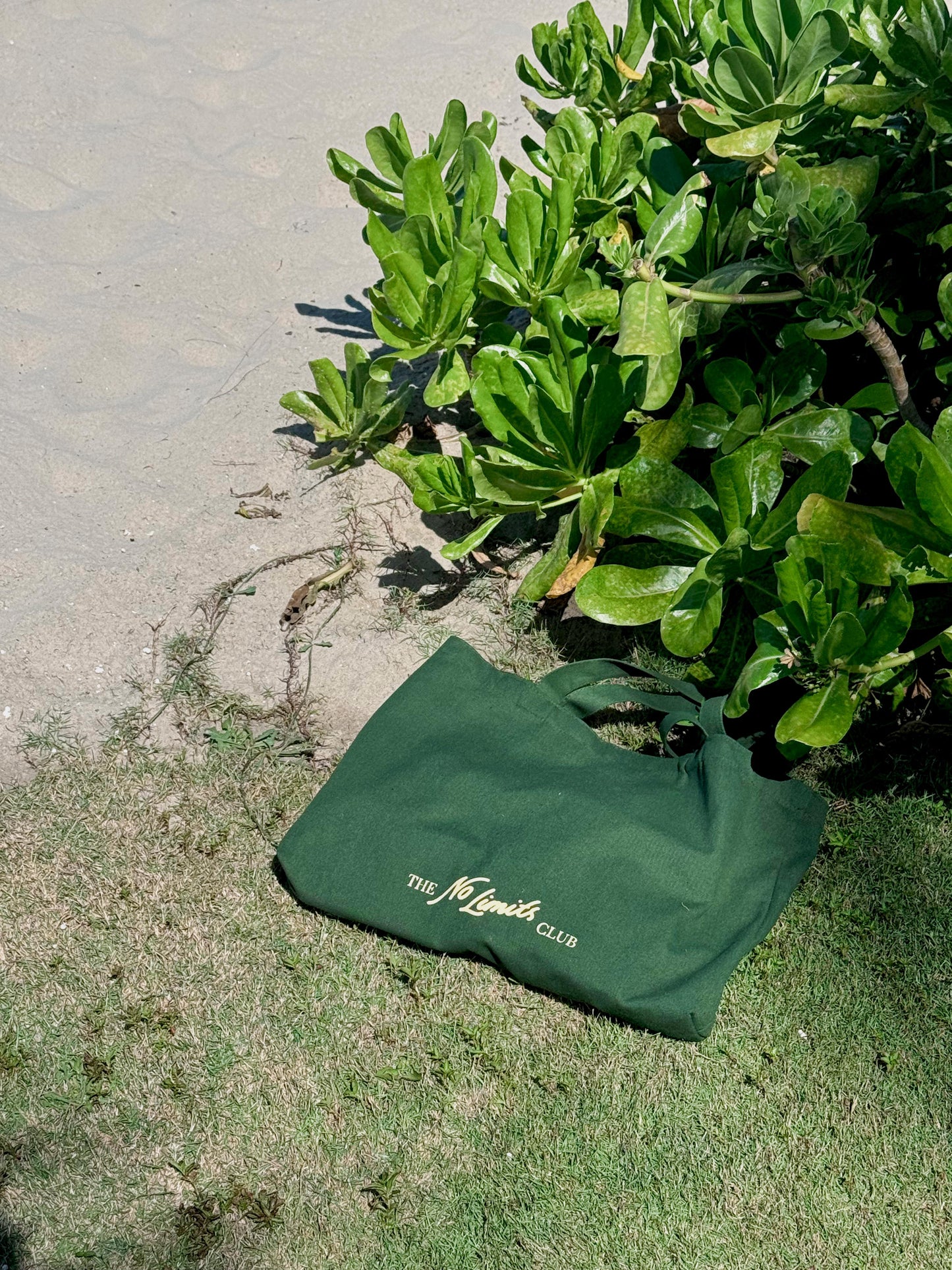 TNLC Essential Canvas Tote